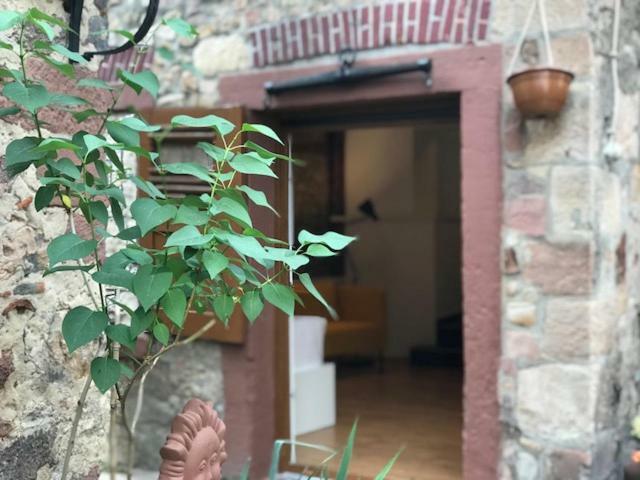 Ferienwohnung Büdinger Hof Weinheim Exterior foto